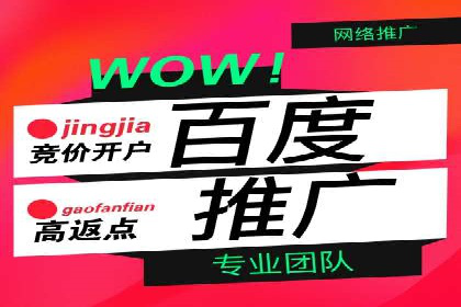 百度推广平台操作指南：案例解析，轻松上手